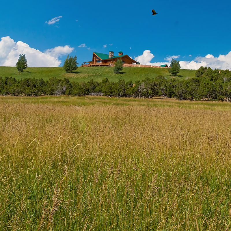 A house with a green roof sits on top of a grassy hill
