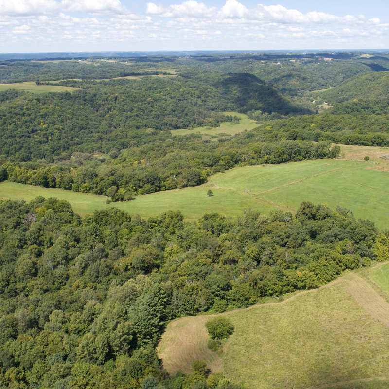 An aerial view of a lush green valley with trees and grass