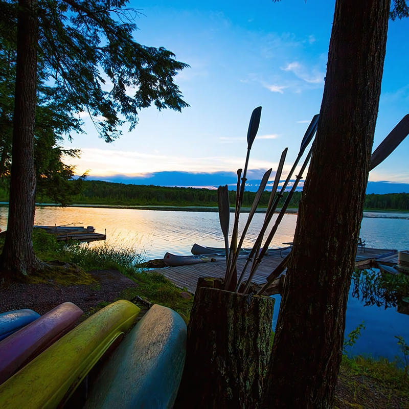 A bunch of kayaks are sitting on the shore of a lake