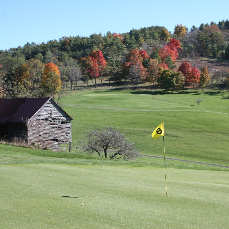 A yellow flag with the letter b on it is on a golf course