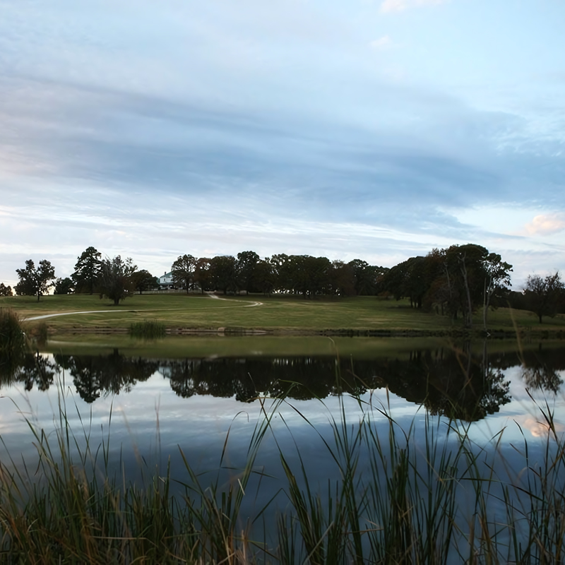 A lake surrounded by tall grass and trees with a golf course in the background
