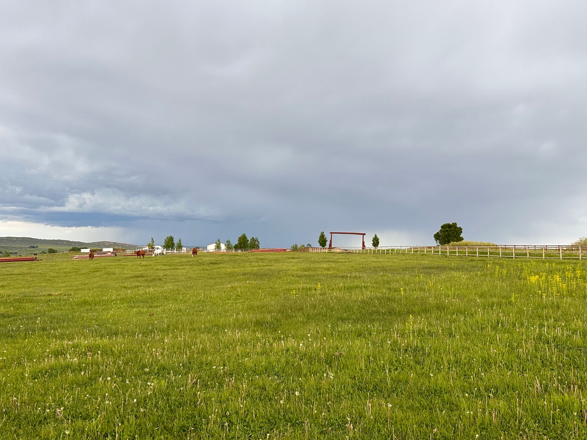 Vast green field under a dramatic, cloudy sky with a distant gate and wooden fence on the horizon.