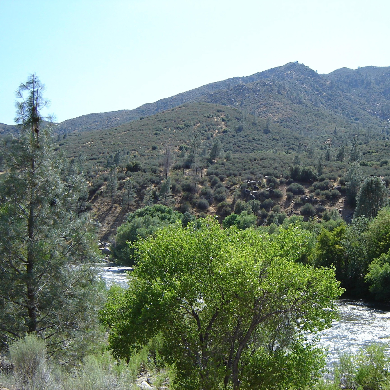 A river flowing through a valley with mountains in the background
