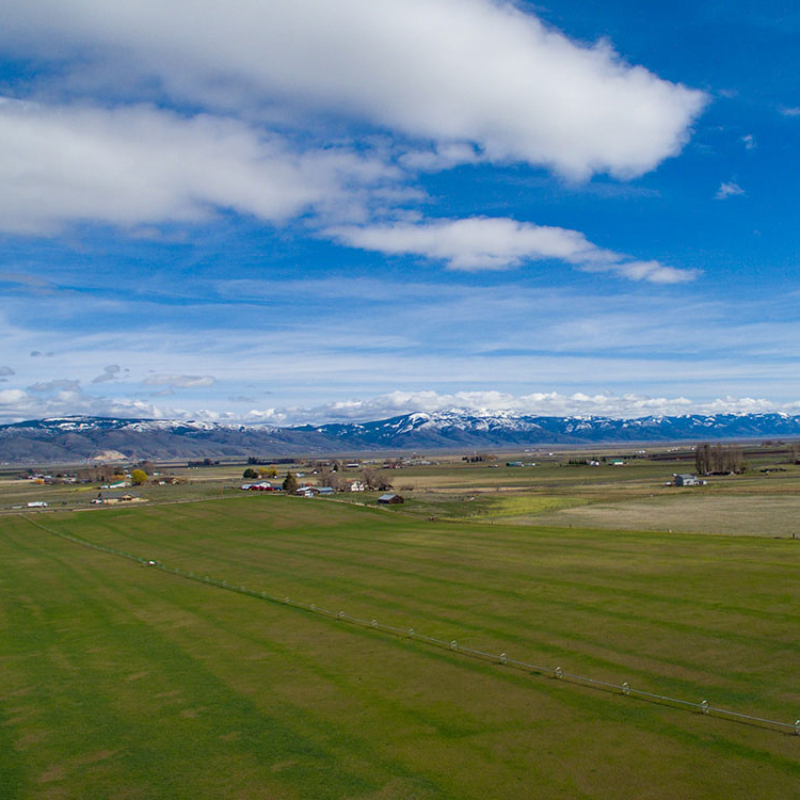An aerial view of a grassy field with mountains in the background.