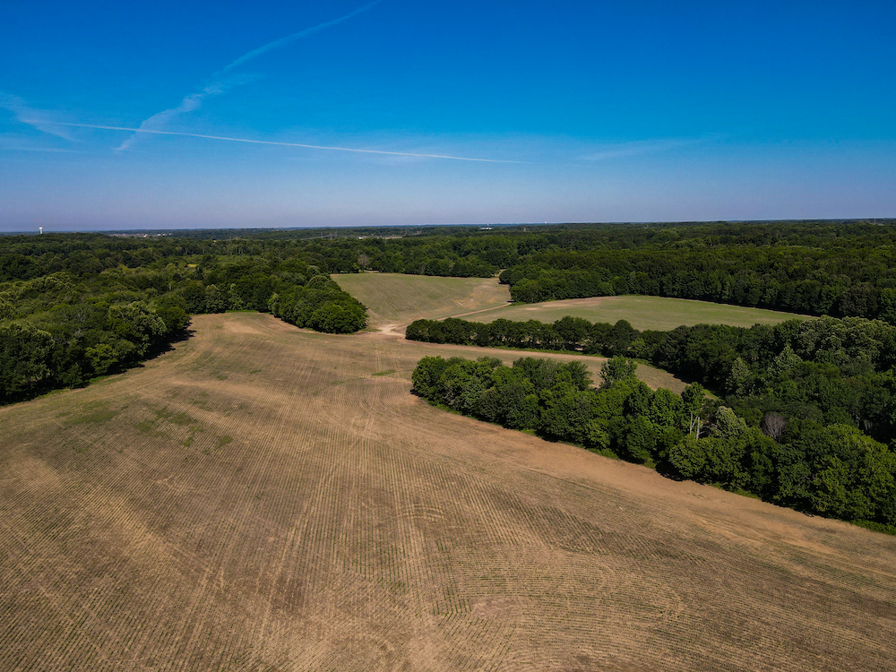 An aerial view of a field surrounded by trees on a sunny day.