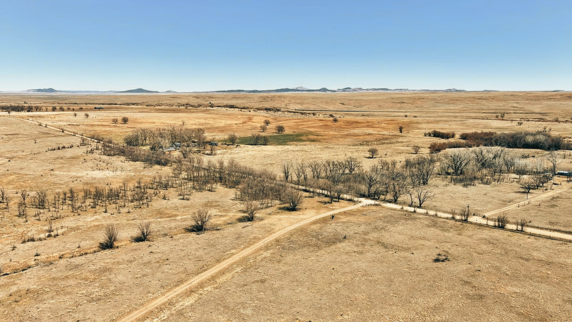 An aerial view of a desert landscape with trees and a dirt road.