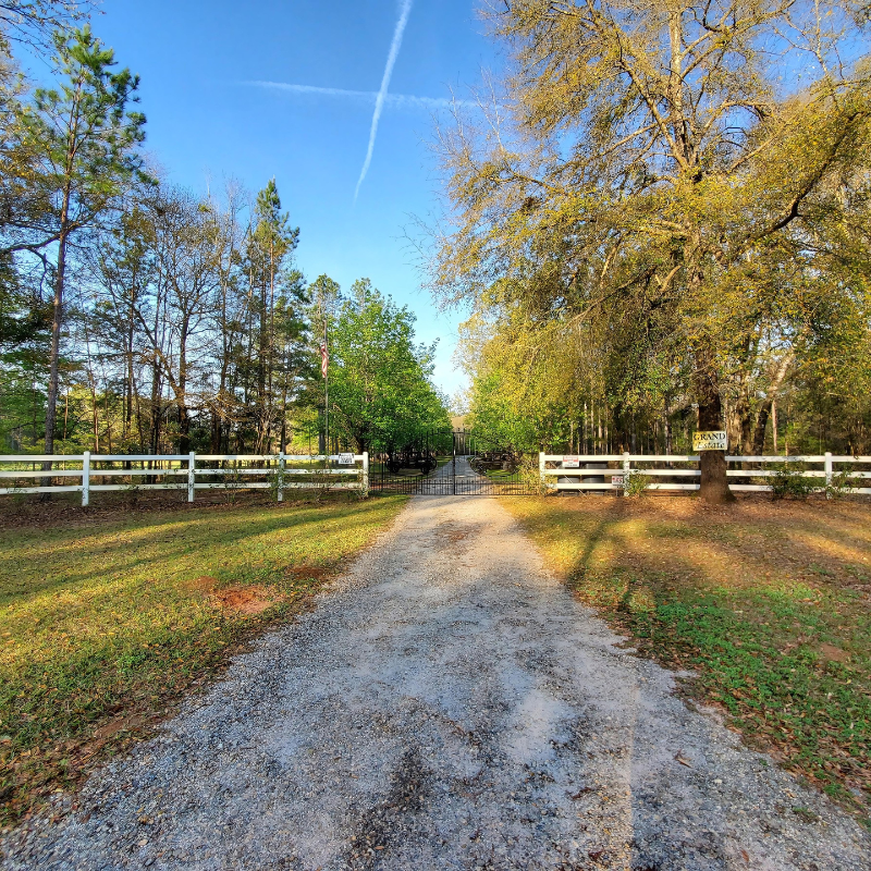 A dirt road with a white fence and trees on both sides