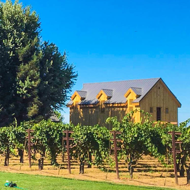 A large wooden house is surrounded by vineyards on a sunny day.