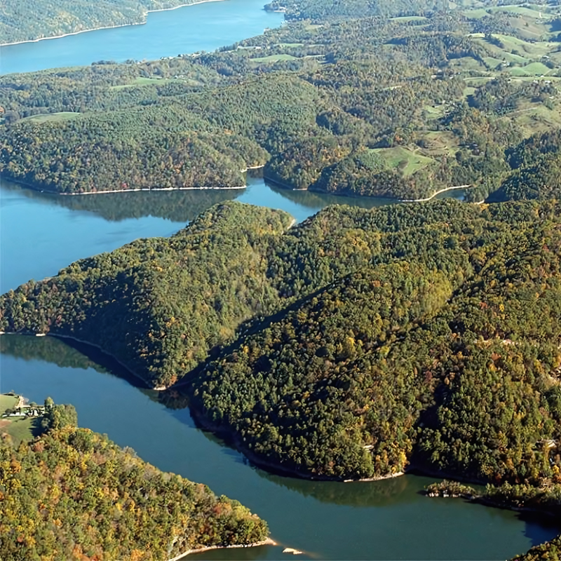 An aerial view of a lake surrounded by trees
