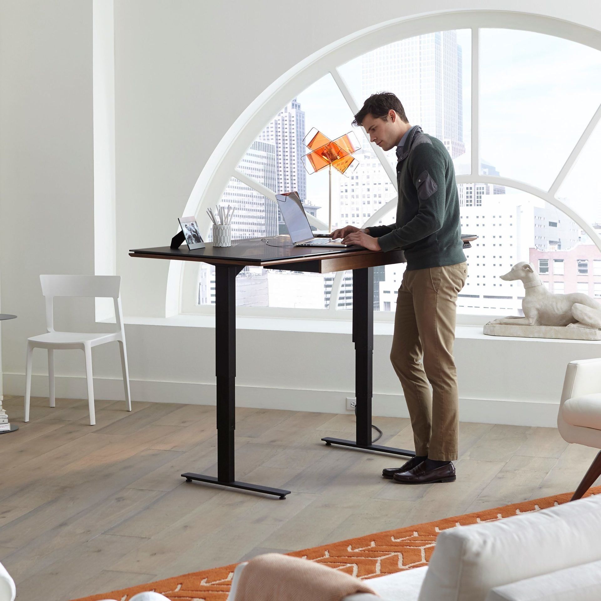 Home of Contemporary Furniture, Denver Co. Element Home