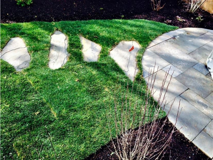 Landscape & Lawn Care Danvers, MA Carpenter Costin Tree