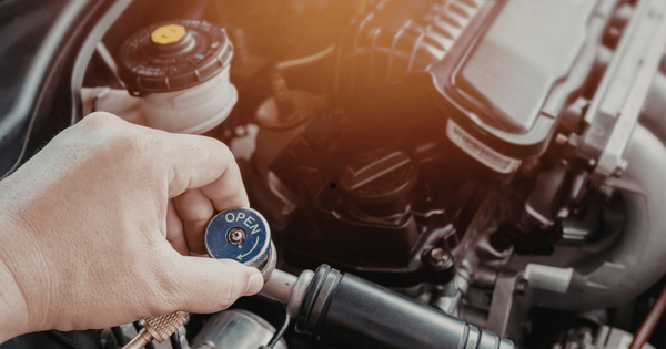 mechanic doing a pre-purchase inspection