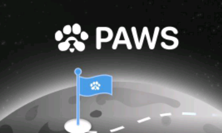 PAWS game