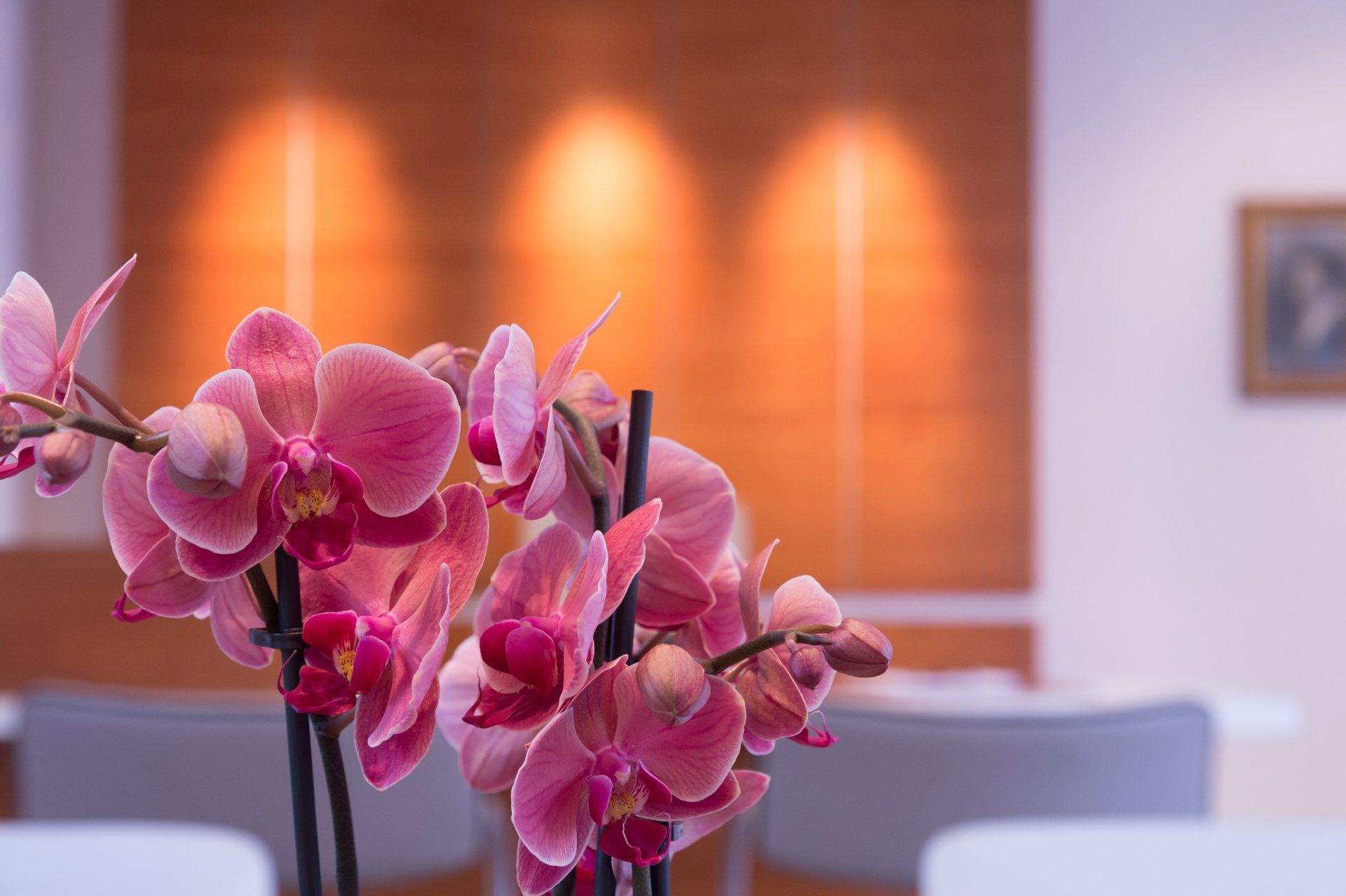 Rechtsanwältin Gersmann - Kanzlei in Giesenkirchen