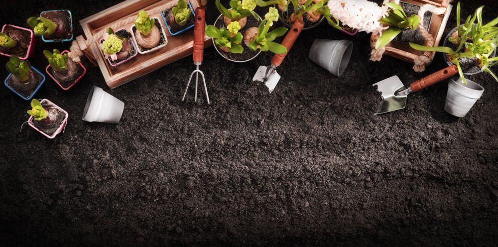 There Are Many Potted Plants and Gardening Tools on the Ground — Bonville Landscape Centre in Bonville, NSW