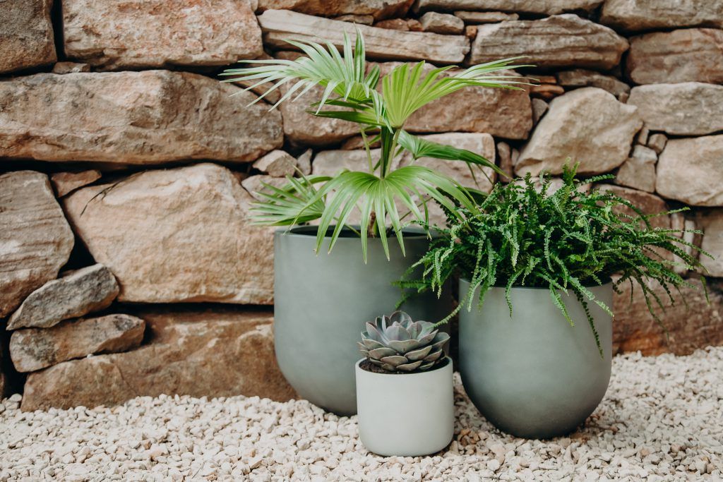 Three Plant Pots — Bonville Landscape Centre in Nambucca Heads, NSW