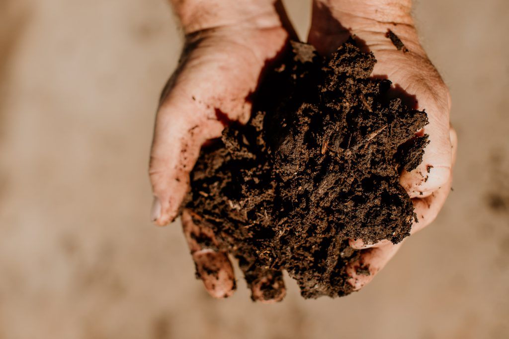 Organic Compost — Bonville Landscape Centre in Bonville, NSW