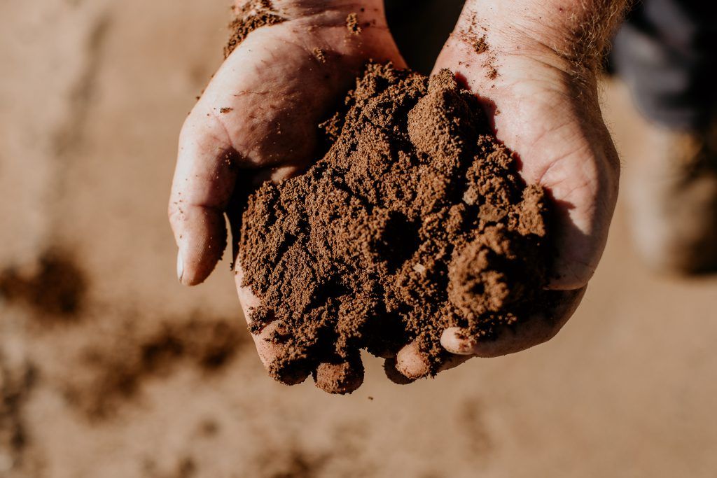 Hands Holding Screened Soil — Bonville Landscape Centre in Nambucca Heads, NSW