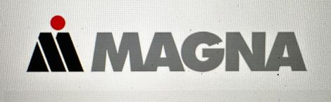 magna