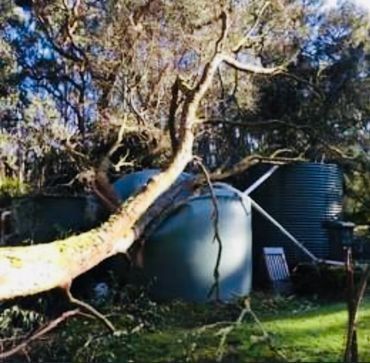 A tree has fallen on a water tank in a yard.