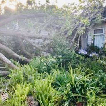 A tree has fallen on a house in a garden.