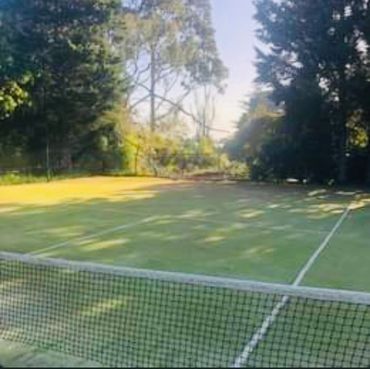 A tennis court with trees in the background and a tennis net in the foreground.