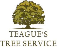 Teague's Tree Service logo
