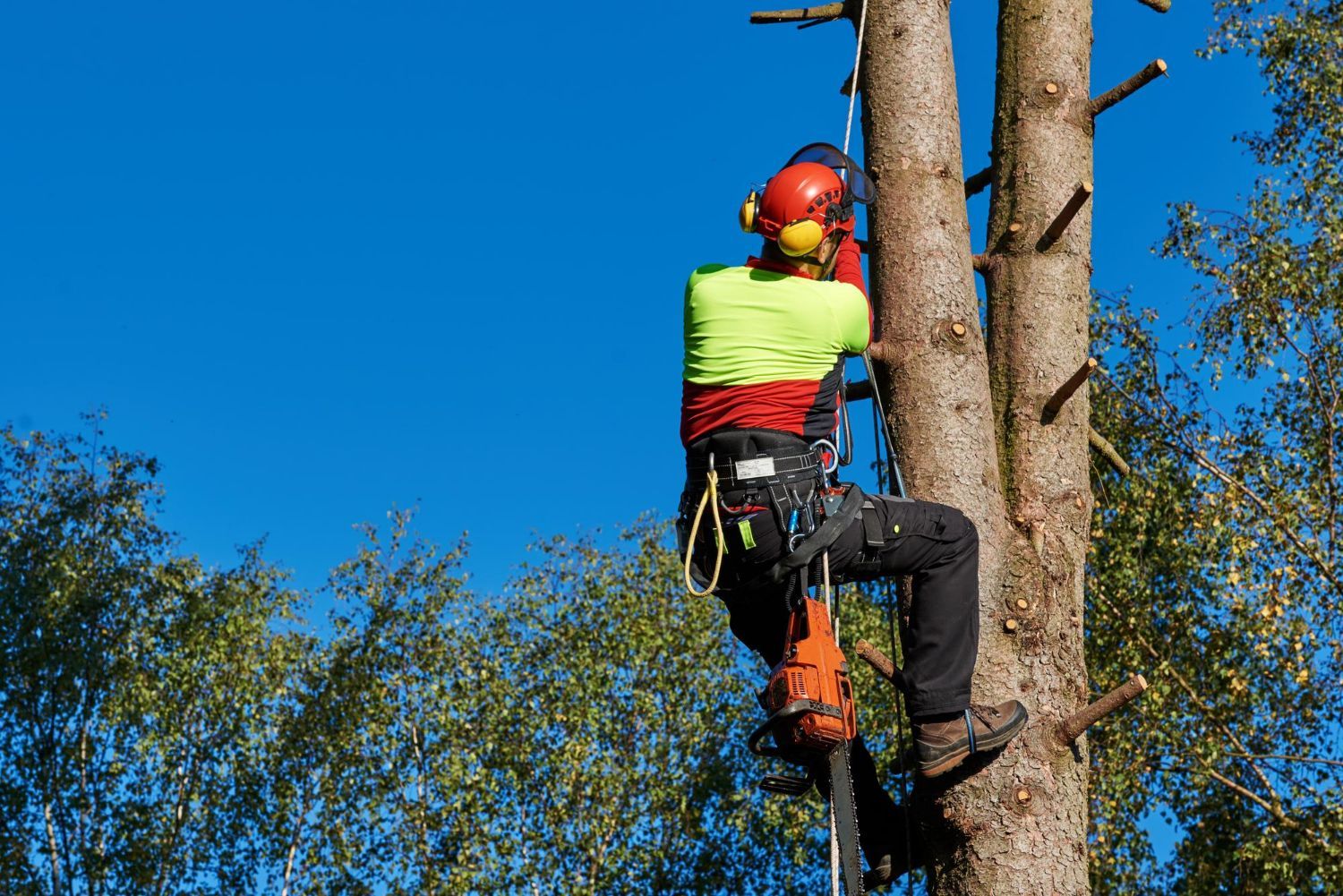 residential service