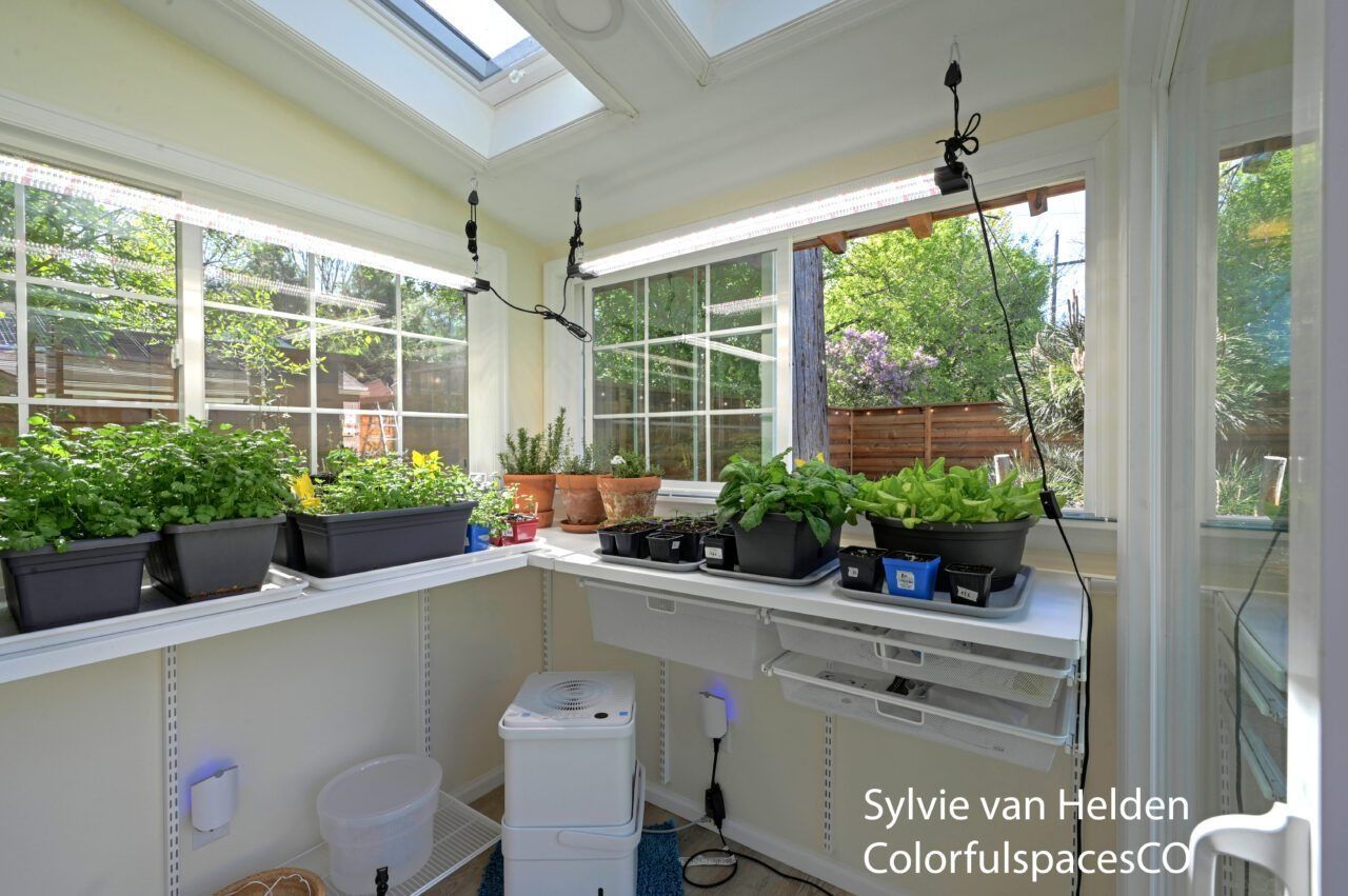 Bright sunroom with potted herbs on counters and windowsills under skylights.