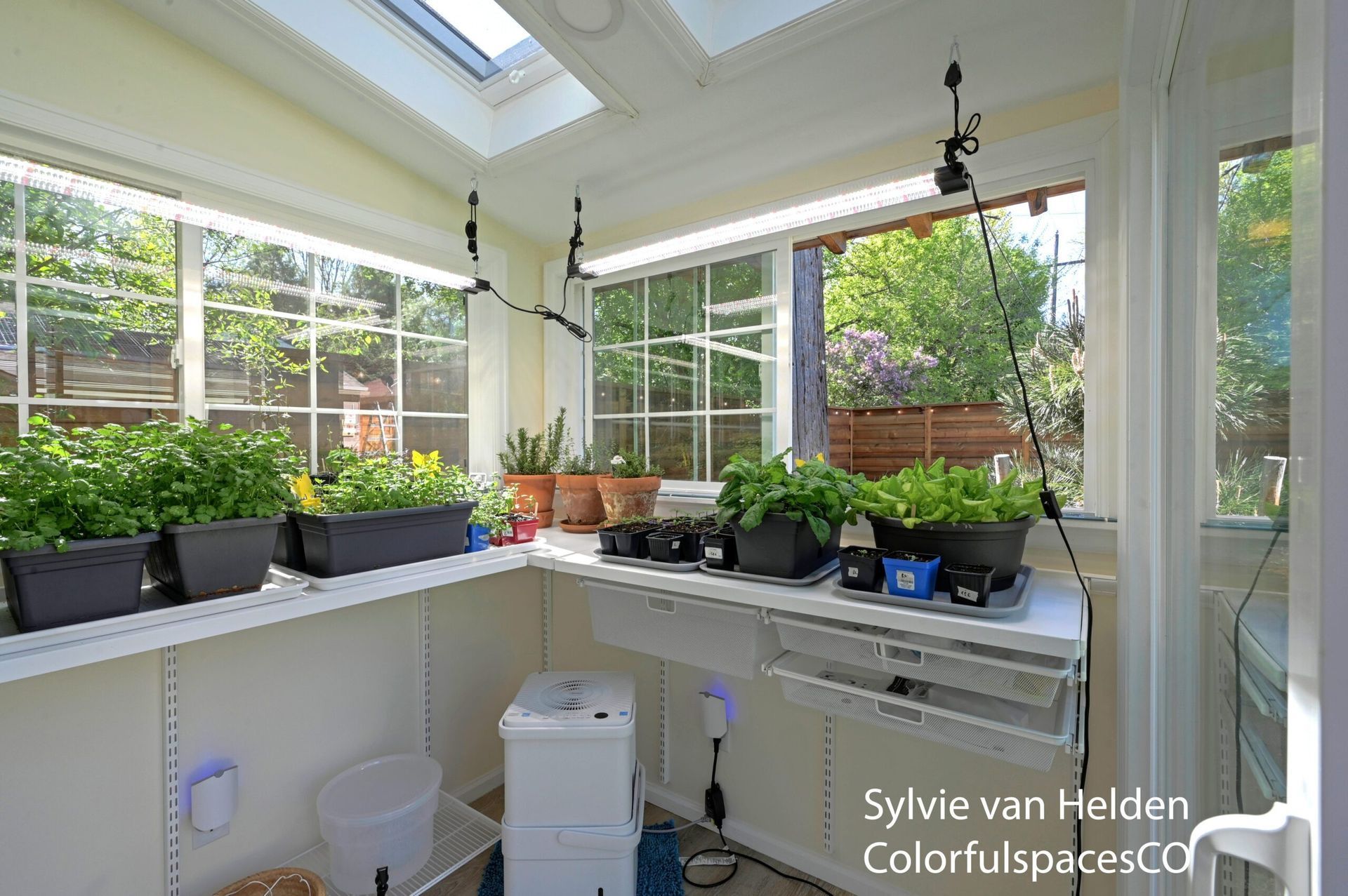 Bright sunroom with skylights, windows, and potted plants on shelves and a counter
