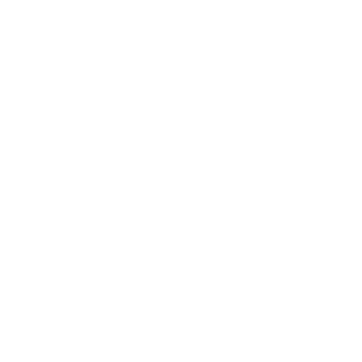 Certified & Insured Auto-Glass Technicians