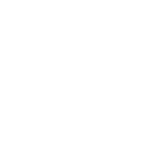 Damage Chip Repair or Windscreen Replaceme