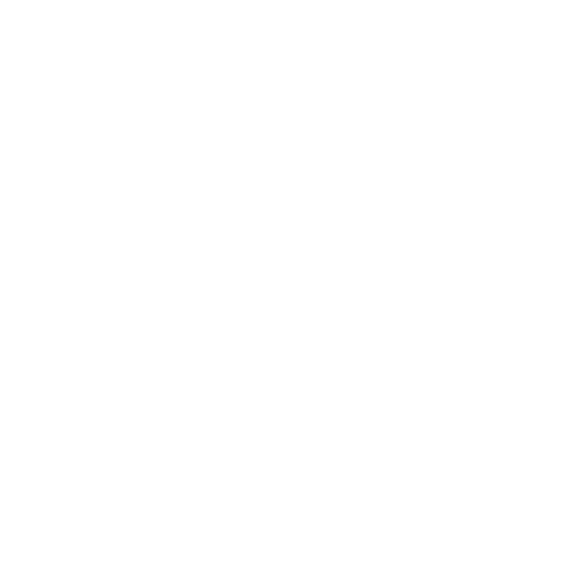 Vehicle Make and Model: