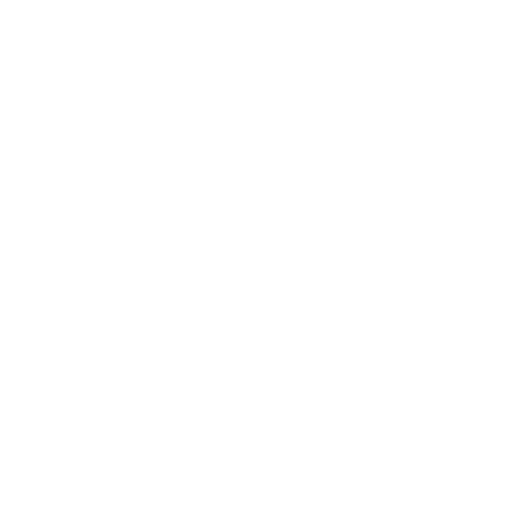   Windscreen Replacement