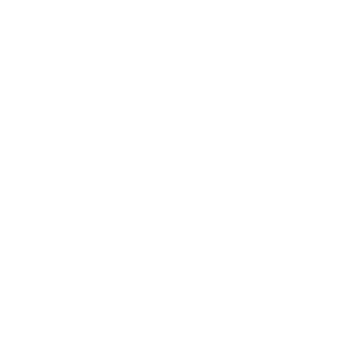 Limited-Time Offer-Windscreen Replacement