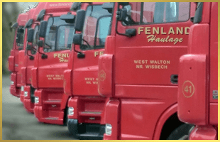 Red haulage trucks lined up