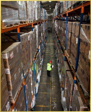 Storage container filled with brown boxes