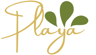 LA PLAYA LOGO 