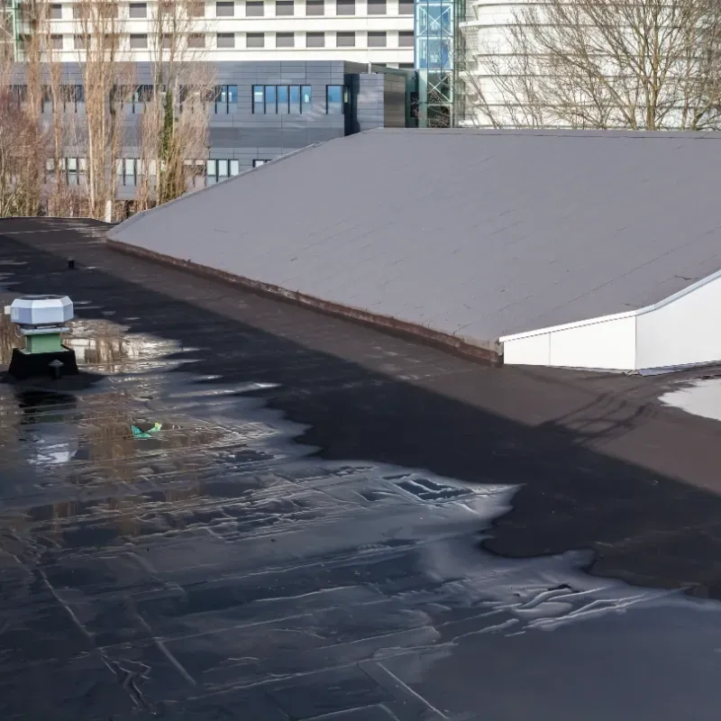 Black flat roof with standing water, a raised silver metal roof, and distant buildings.