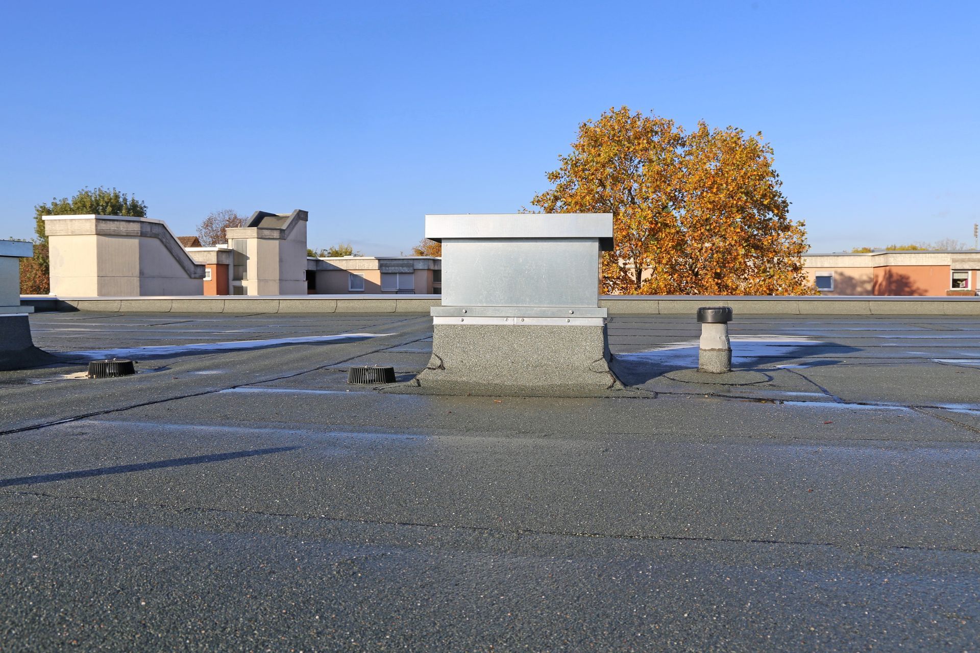 Flat roof with metal vent, other building structures, and autumn tree under a blue sky.
