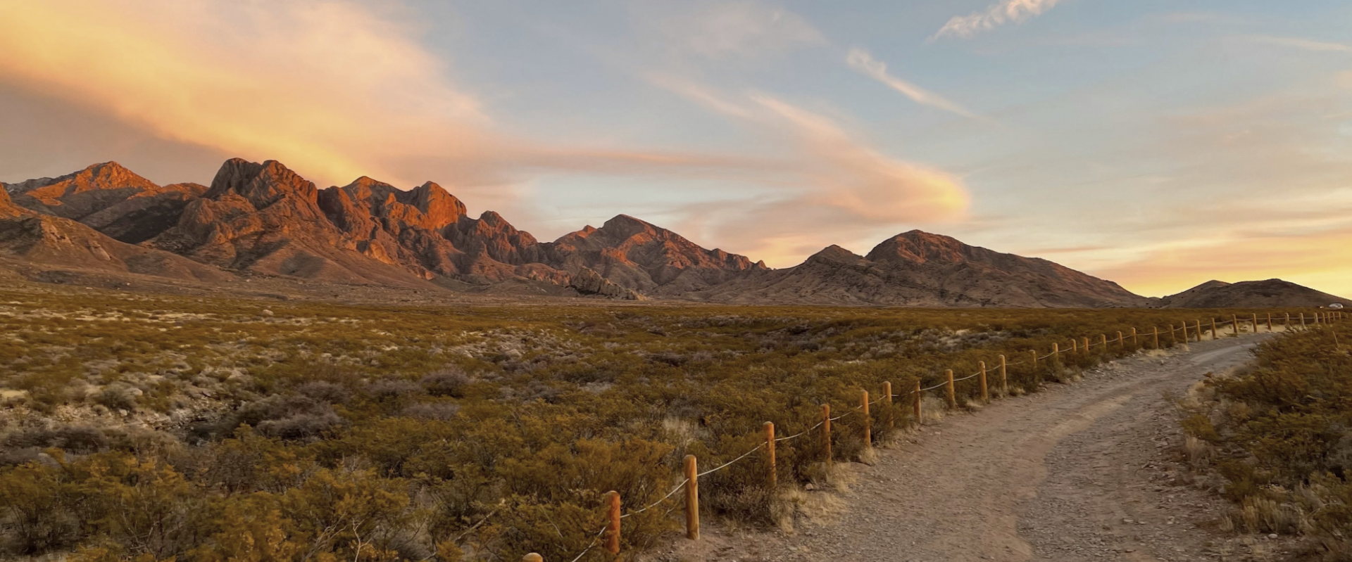 Bouquet of pink and purple tulips wrapped in pink paper.