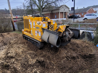 Commercial stump grinding