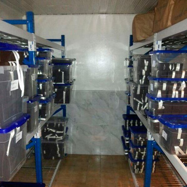 Un almacén lleno de muchos contenedores y cajas de plástico.