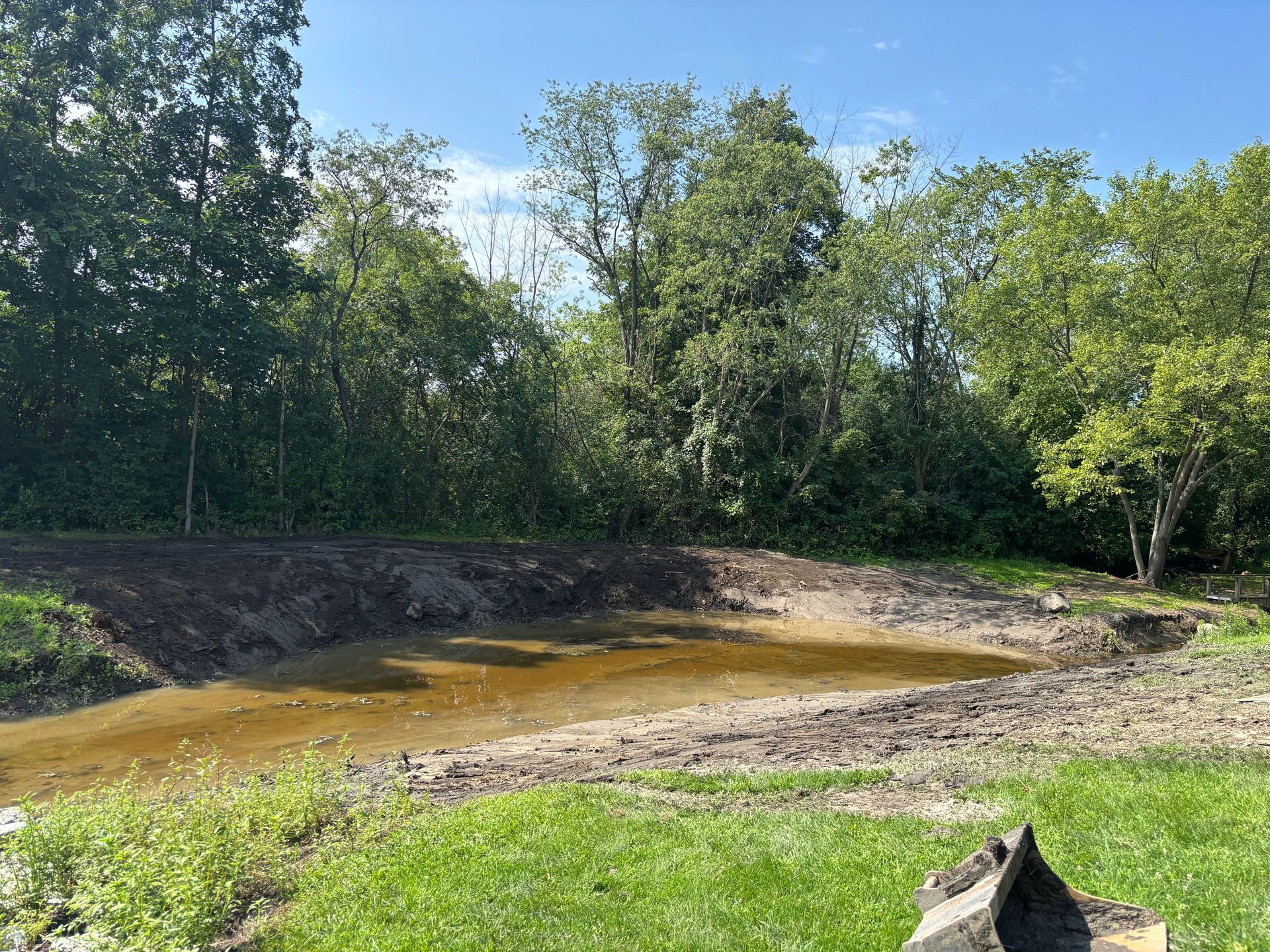 A muddy pond with brown water surrounded by a grassy bank and trees under a blue sky.