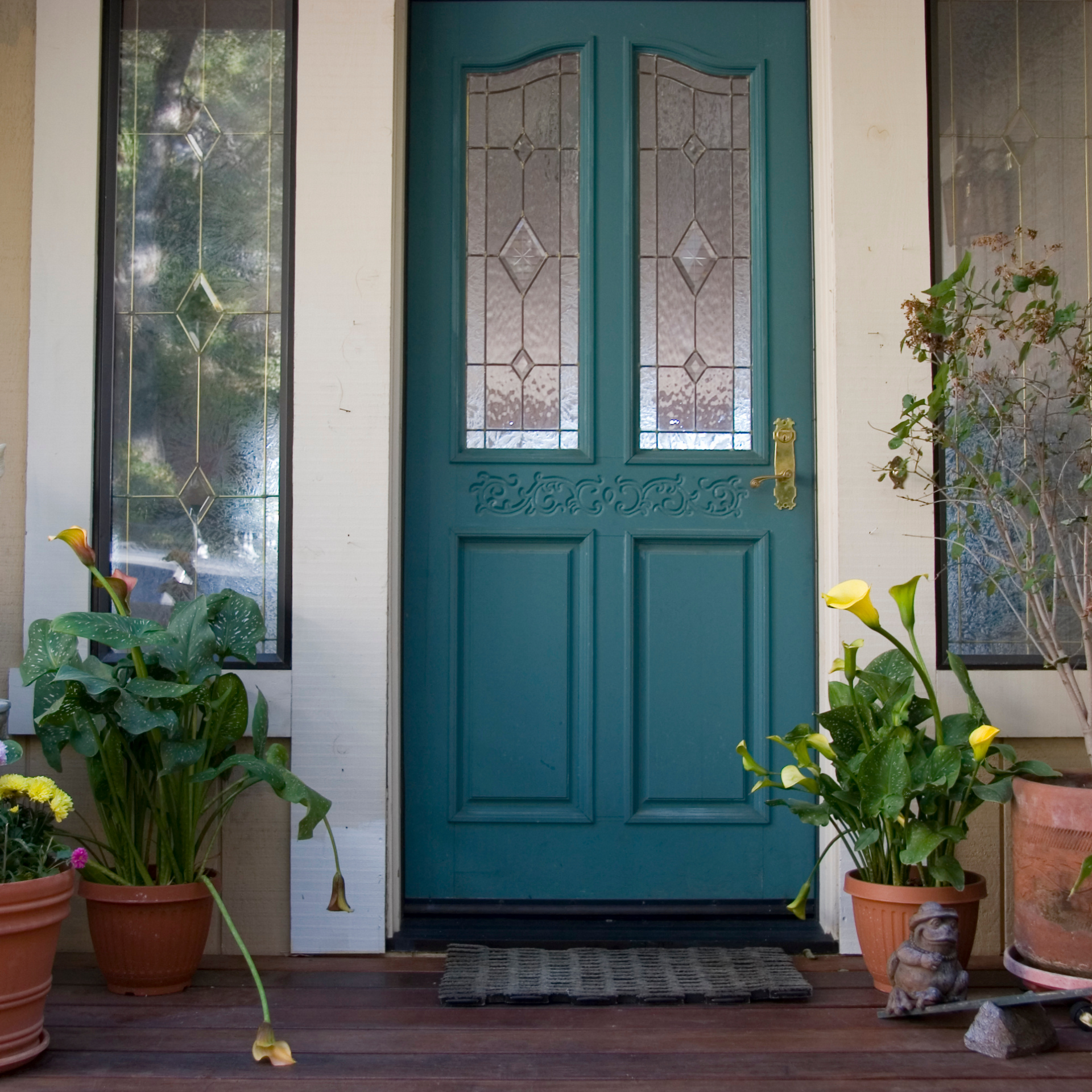 A blue door with potted plants in front of it