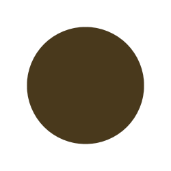 A brown circle on a white background.
