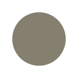 A white circle with a gray border on a white background.
