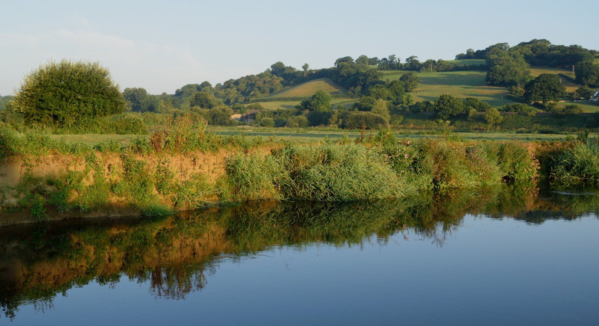 A river with trees on the shore and a bridge in the background