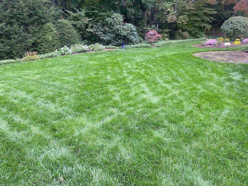 Pest Control for lawn