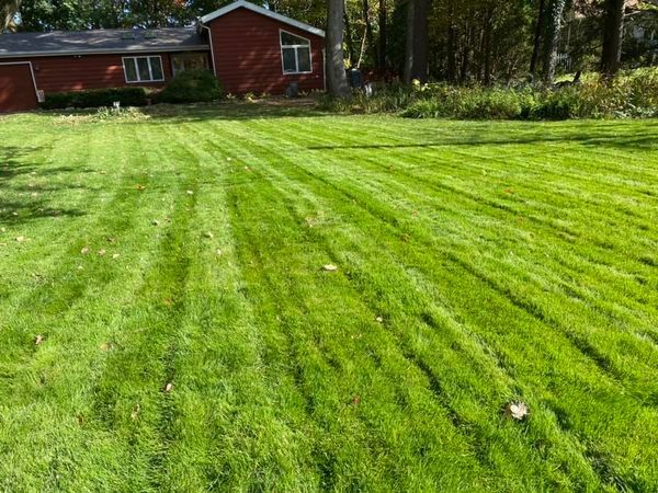 Mosquito Control lawn